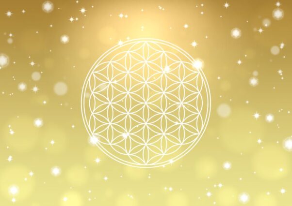 Thumbnail of post image 054